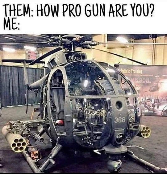 pro gun.jpg